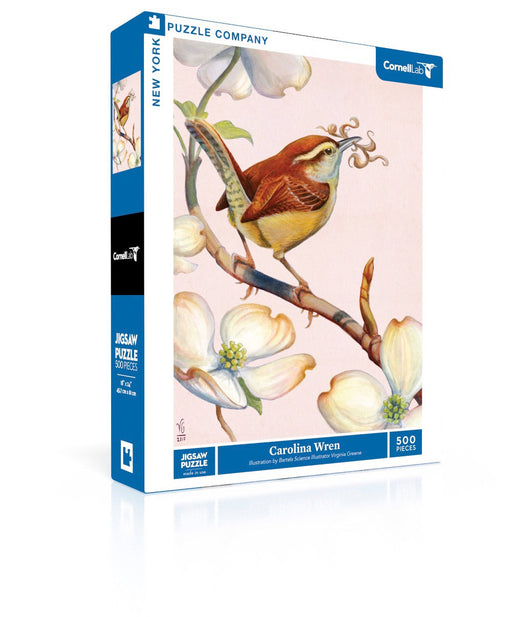 Carolina Wren - for just $23! 