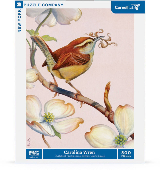 Carolina Wren - for just $23! 