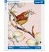 Carolina Wren - for just $23! 