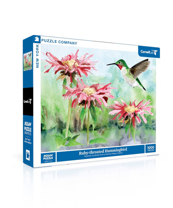 Ruby-throated Hummingbird - for just $29! 