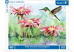 Ruby-throated Hummingbird - for just $29! 