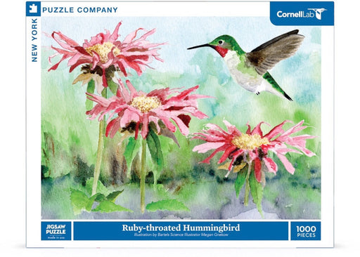Ruby-throated Hummingbird - for just $25! 