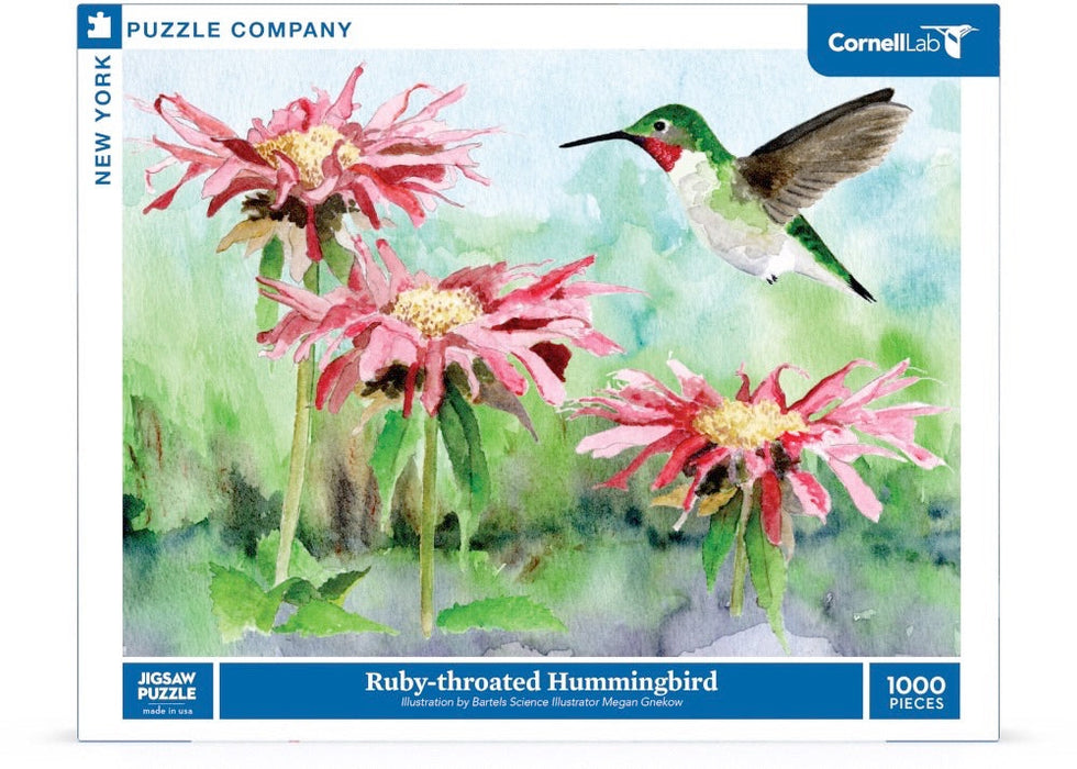 Ruby-throated Hummingbird - for just $29! 