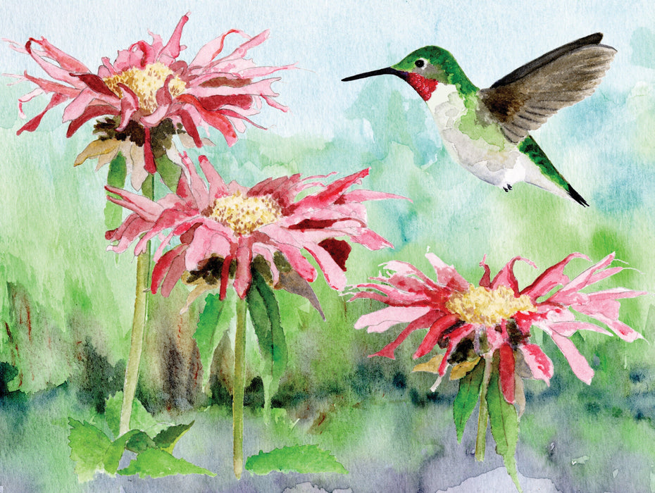 Ruby-throated Hummingbird - for just $29! 