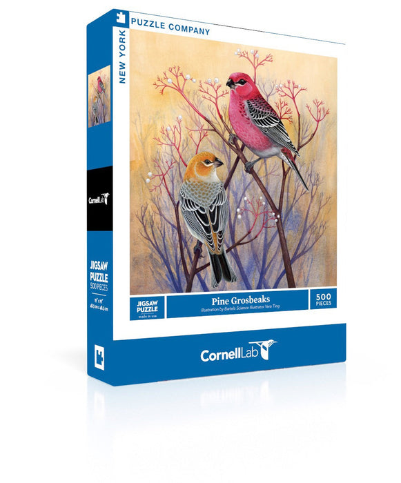 Pine Grosbeaks - for just $27! 