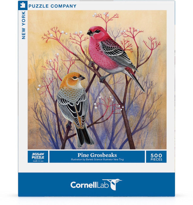 Pine Grosbeaks - for just $27! 