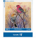 Pine Grosbeaks - for just $27! 