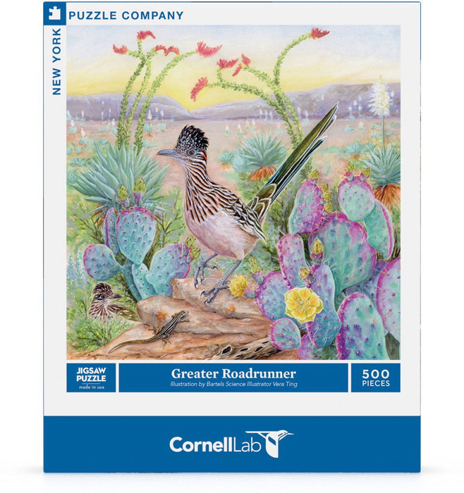 Greater Roadrunner - for just $23! 
