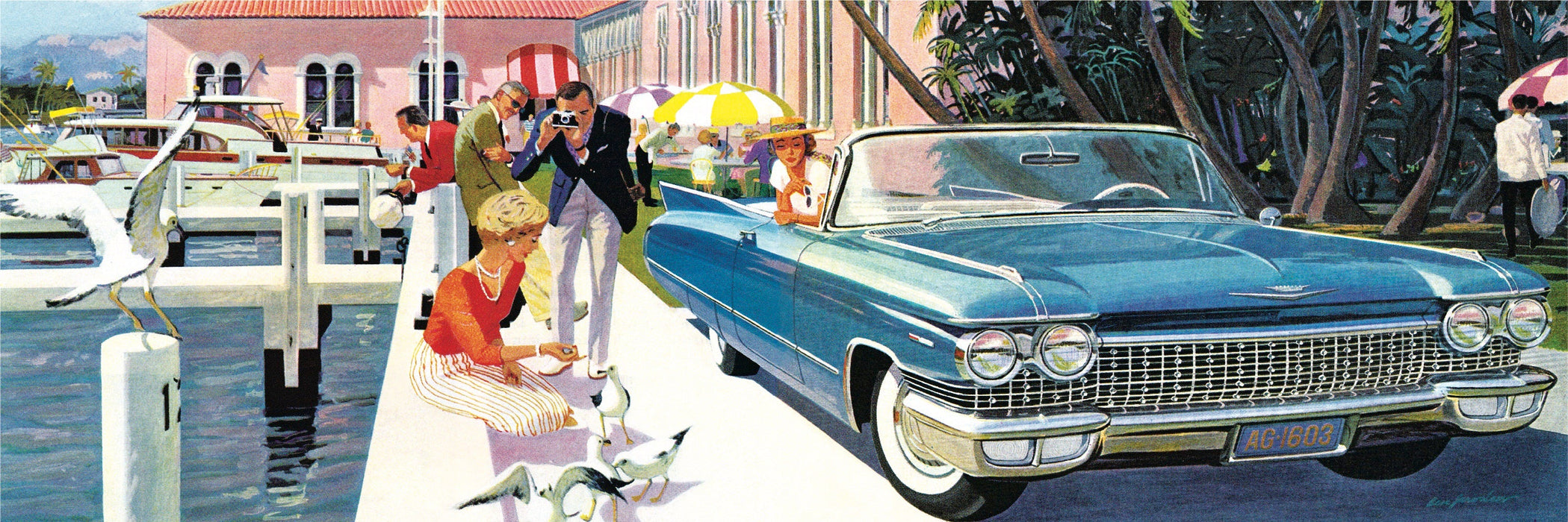 Picture Perfect - for just $18.75! 