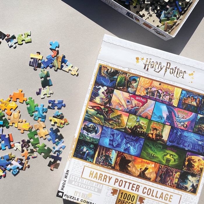 Harry Potter Collage - for just $29! 
