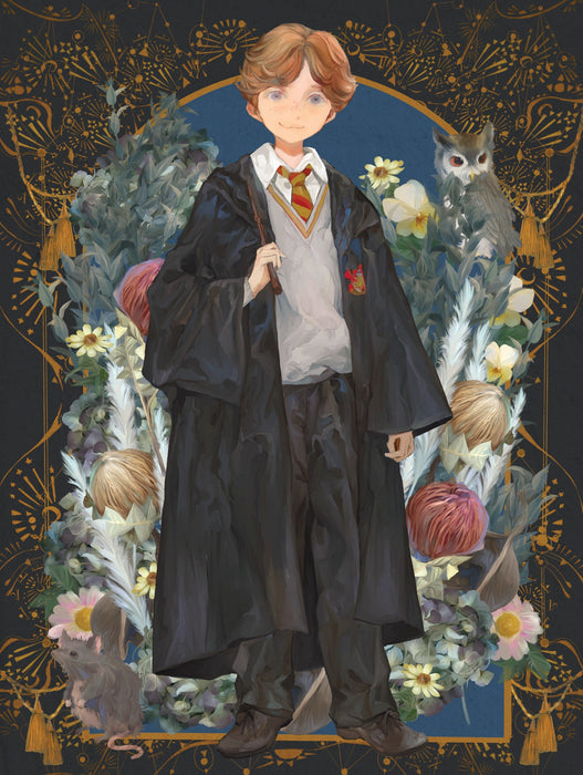 Ron Weasley - for just $20.25! 