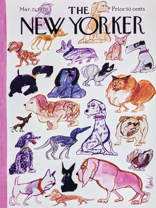 Doggies - for just $28! 