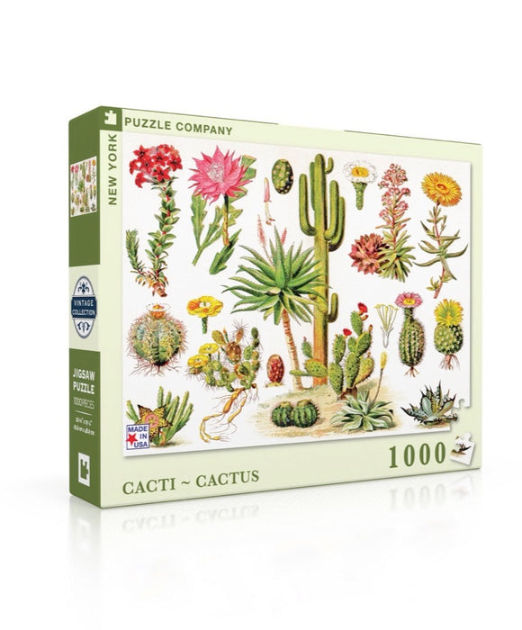 Cacti ~ Cactus - Just $25! Shop now at Retro Gaming of Denver