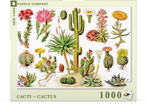 Cacti ~ Cactus - Just $25! Shop now at Retro Gaming of Denver