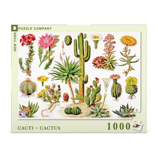 Cacti ~ Cactus - Just $25! Shop now at Retro Gaming of Denver