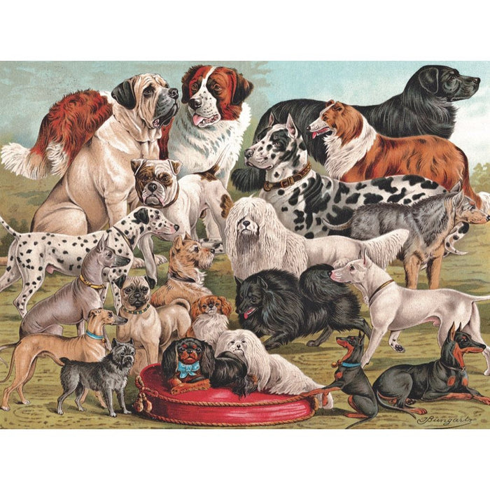 Dog Breeds - Just $25! Shop now at Retro Gaming of Denver