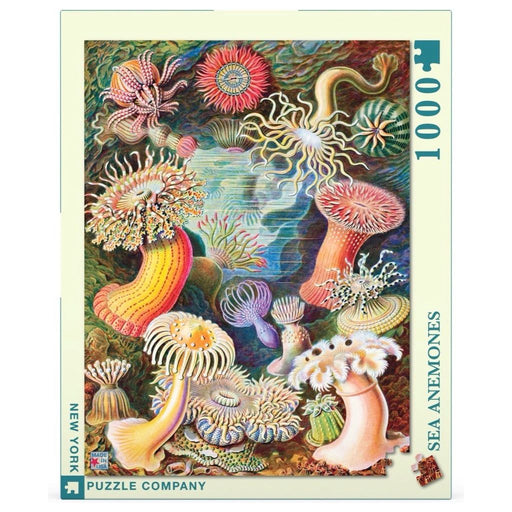 Sea Anemones - Just $25! Shop now at Retro Gaming of Denver