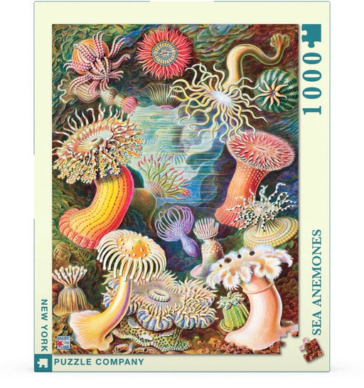 Sea Anemones - Just $25! Shop now at Retro Gaming of Denver