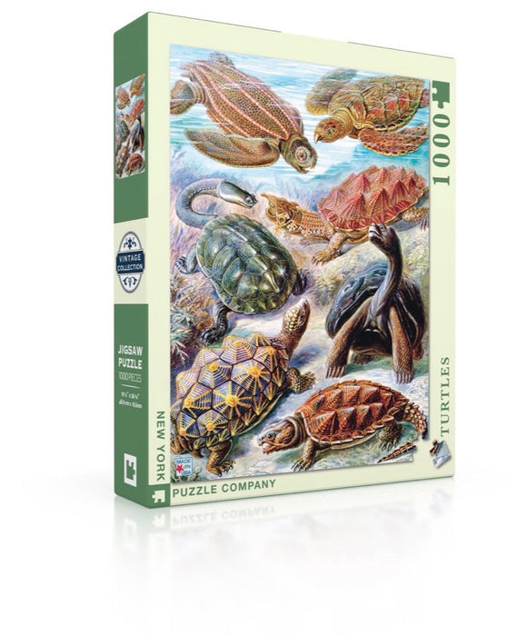 Turtles - Just $15! Shop now at Retro Gaming of Denver