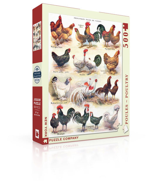 Poules ~ Poultry - for just $17.25! 