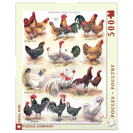 Poules ~ Poultry - Just $23! Shop now at Retro Gaming of Denver