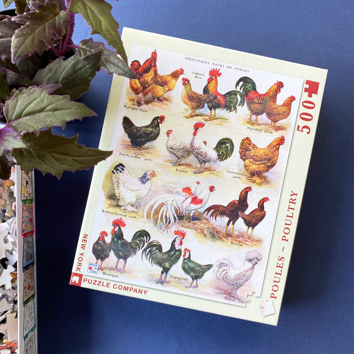 Poules ~ Poultry - for just $17.25! 