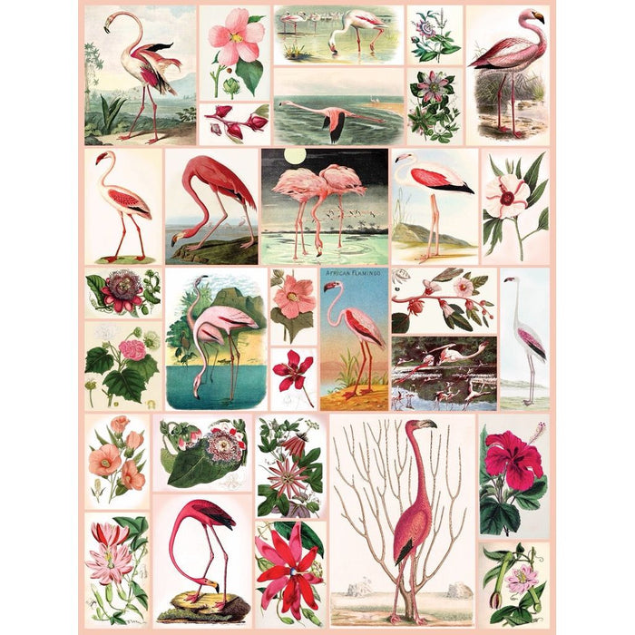 Flamingos and Flowers - Just $18.75! Shop now at Retro Gaming of Denver