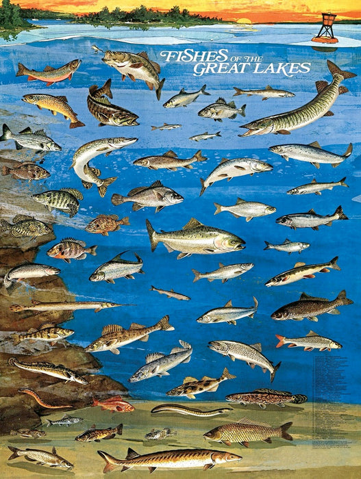 Fishes of the Great Lakes - Just $18.75! Shop now at Retro Gaming of Denver