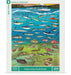 Fishes of the North Pacific - Just $18.75! Shop now at Retro Gaming of Denver