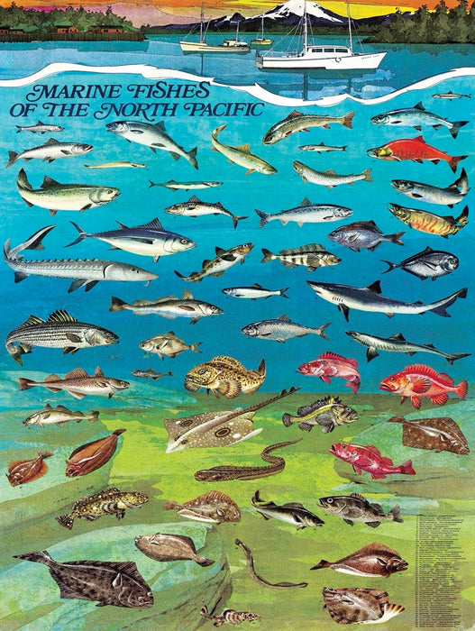 Fishes of the North Pacific - Just $18.75! Shop now at Retro Gaming of Denver