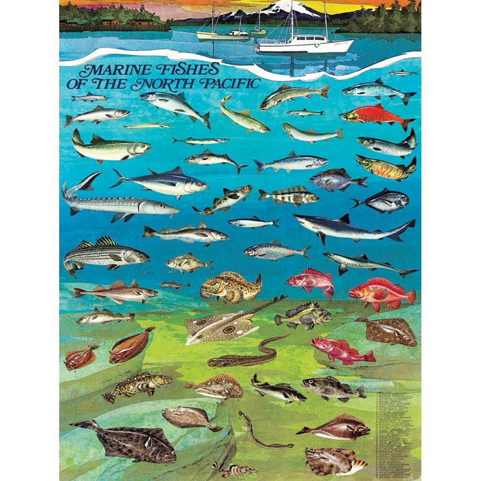 Fishes of the North Pacific - Premium Puzzle - Just $25! Shop now at Retro Gaming of Denver