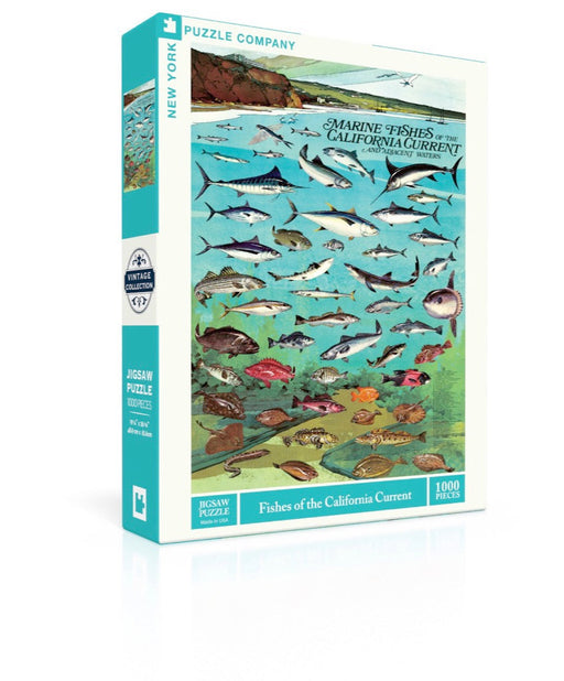 Fishes of the California Current - Just $18.75! Shop now at Retro Gaming of Denver