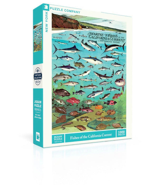 Fishes of the California Current - Just $18.75! Shop now at Retro Gaming of Denver