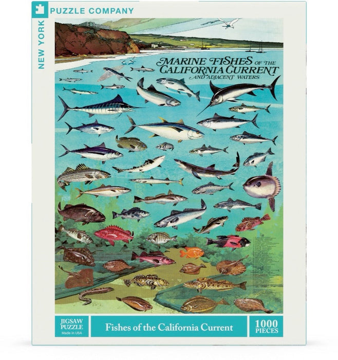 Fishes of the California Current - Just $18.75! Shop now at Retro Gaming of Denver