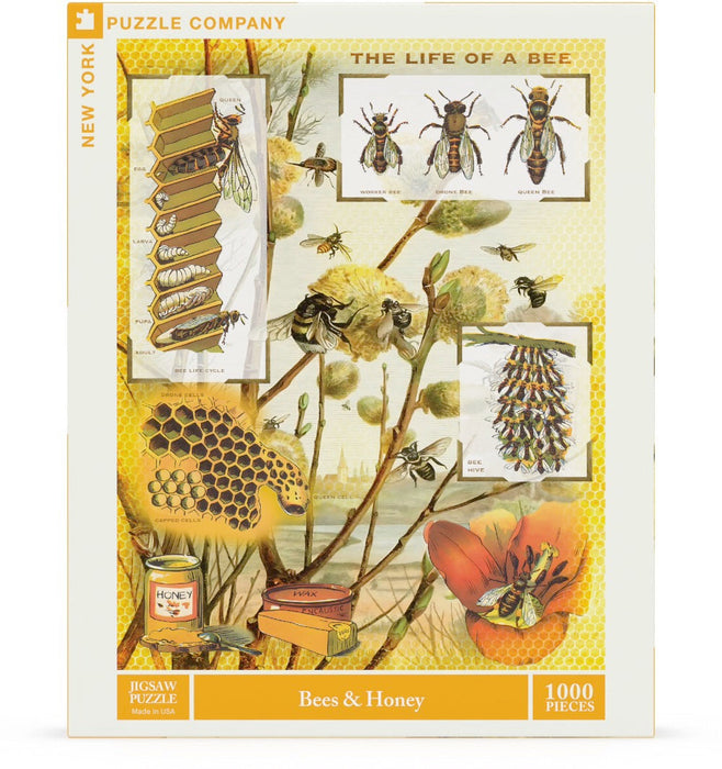 Bees & Honey - for just $25! 