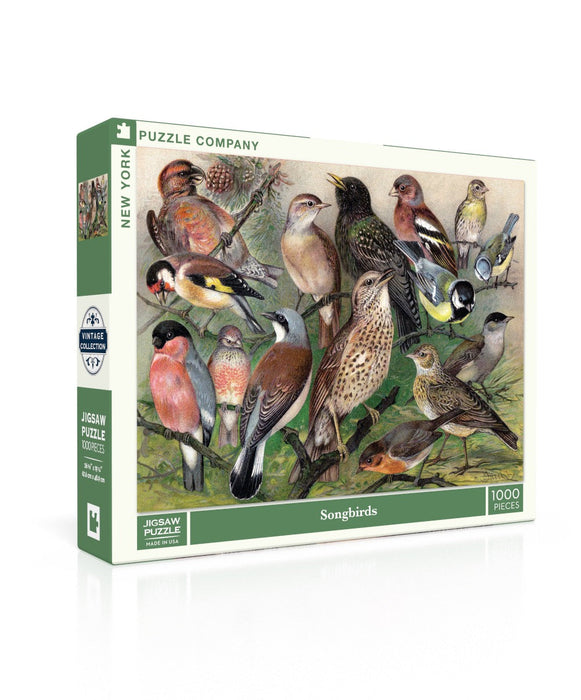 Songbirds - for just $25! 
