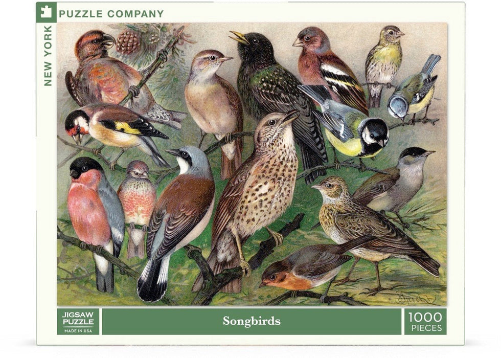 Songbirds - for just $25! 