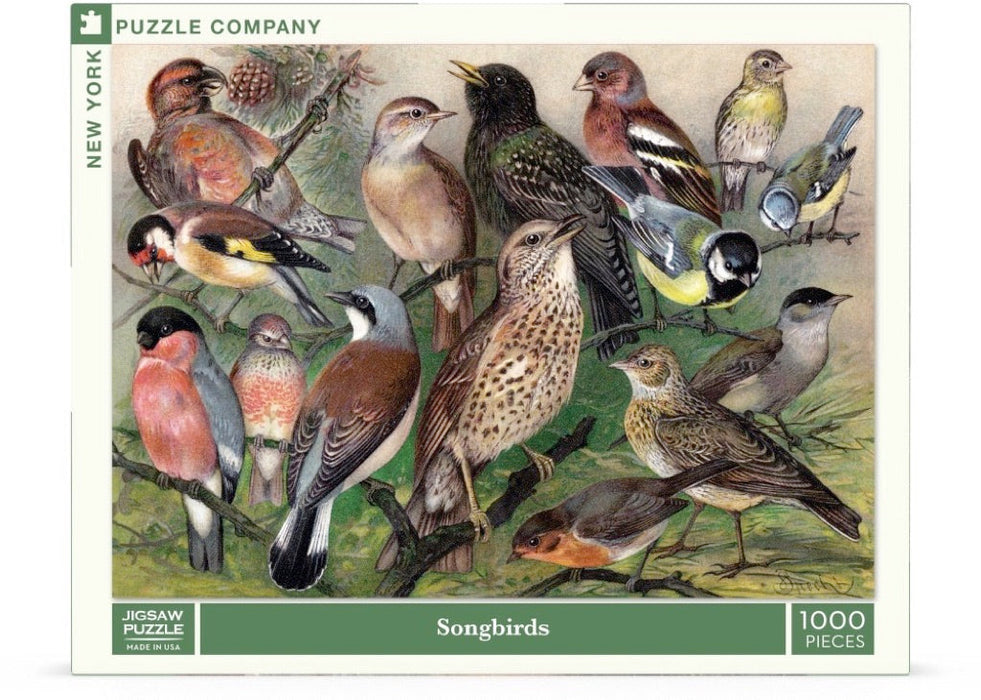 Songbirds - Just $25! Shop now at Retro Gaming of Denver