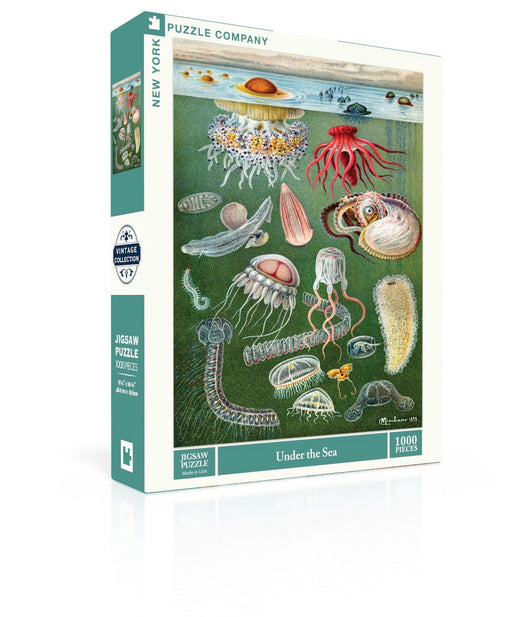 Under the Sea - for just $25! 