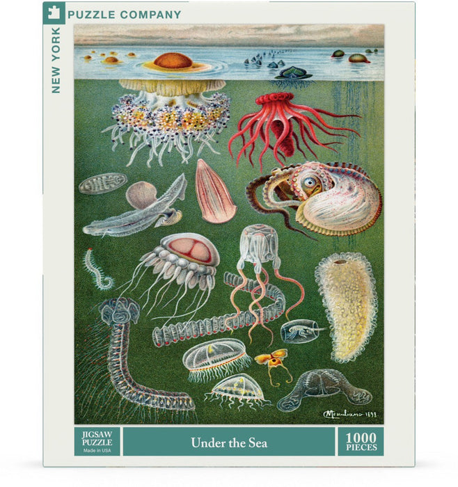 Under the Sea - for just $25! 