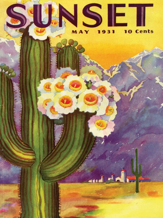 Cactus Blooms - Just $23! Shop now at Retro Gaming of Denver