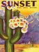 Cactus Blooms - Just $23! Shop now at Retro Gaming of Denver