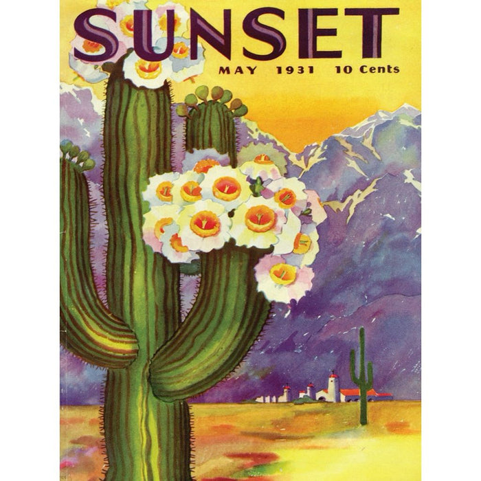 Cactus Blooms - Just $23! Shop now at Retro Gaming of Denver