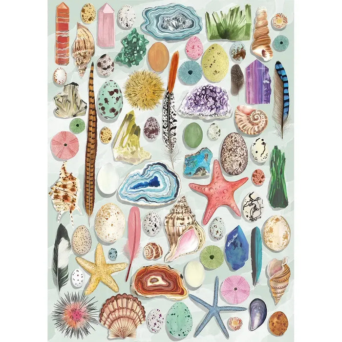 Natural Curiosities 1000 Piece Jigsaw Puzzle Gibsons - for just $24.99! 
