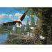 Nesting Eagles 1000 Piece Jigsaw Puzzle Cobble Hill - for just $19.99! 