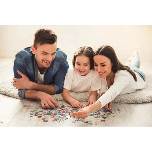 New York City Metropuzzle 1000 Piece Jigsaw Puzzle Geotoys - for just $19.99! 