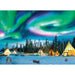 Northern Lights 1000 Piece Jigsaw Puzzle Eurographics - for just $21.99! 