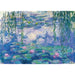 Nymphéas (Water Lilies) by Monet 1000 Piece Jigsaw Puzzle Enjoy - for just $24.99! 
