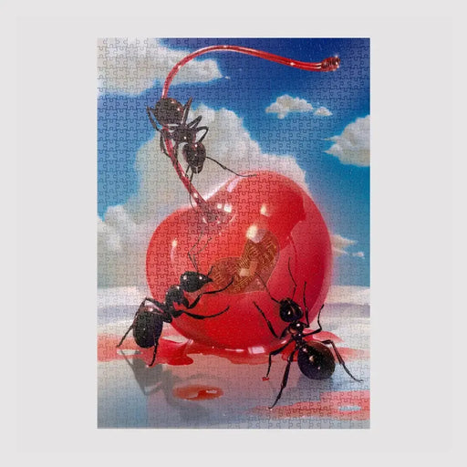 Obsession By Jiayi 1000 Piece Limited Edition Jigsaw Puzzle Sulo - for just $44.99! 