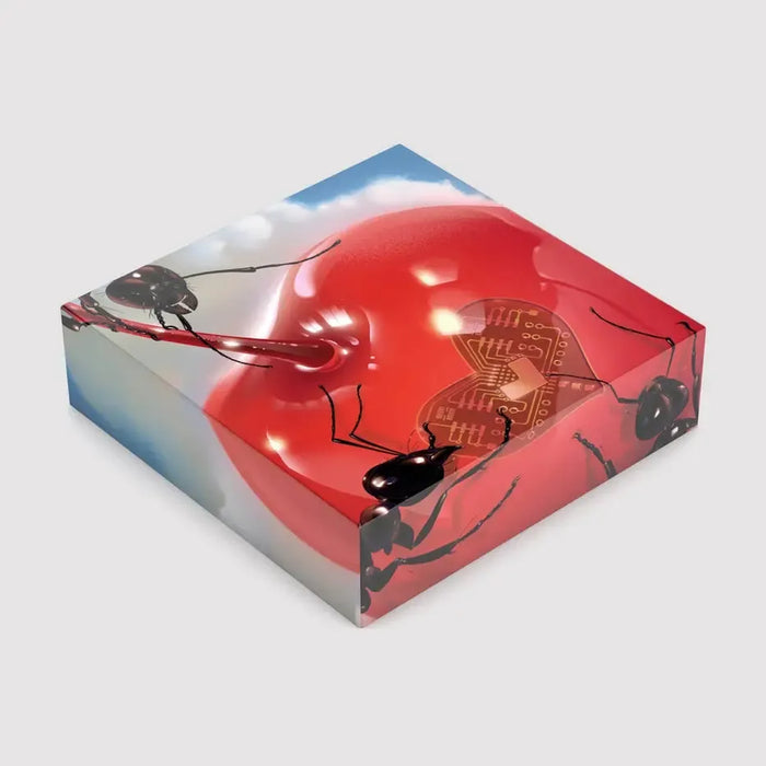 Obsession By Jiayi 1000 Piece Limited Edition Jigsaw Puzzle Sulo - for just $44.99! 